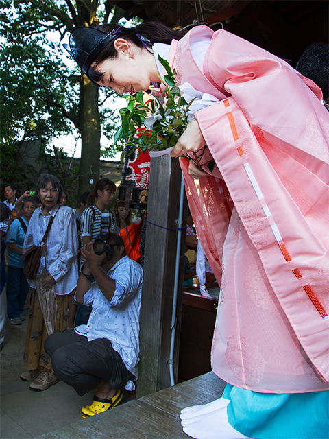 八坂神社　お札まき