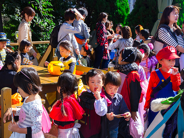 東戸塚ハロウィンパーティ４th取材写真