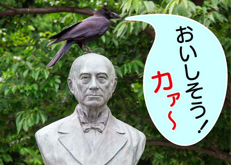 明治学院_戸塚まつり2016_取材写真 明治学院_戸塚まつり2016_取材写真