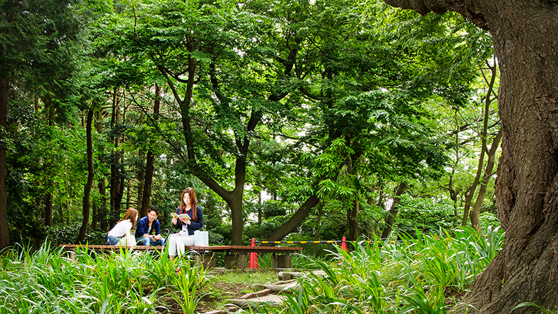 明治学院_戸塚まつり2015_取材写真