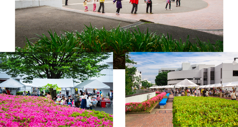 明治学院_戸塚まつり2016_取材写真