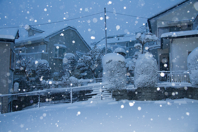 雪景色