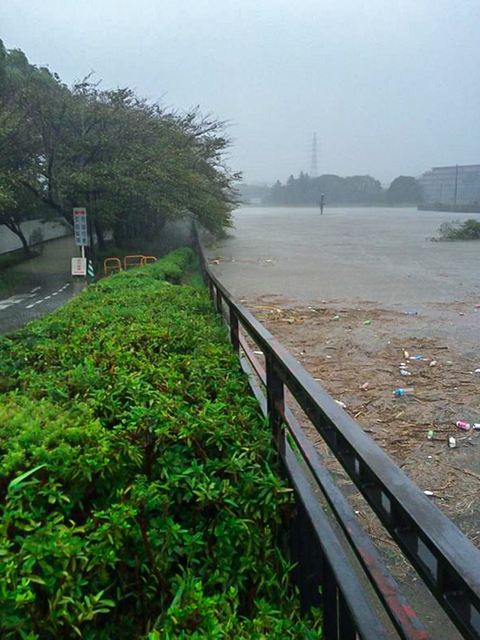 柏尾川が氾濫の危機! 柏尾川が氾濫の危機!