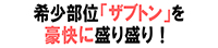 素の芽ノ家ノ祖 別館