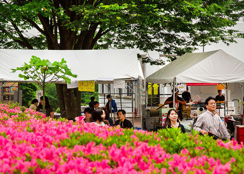 明治学院_戸塚まつり2016_取材写真