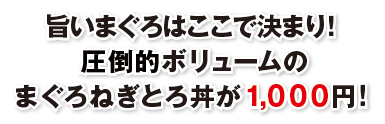 ブロケード６月号『1000円均一特集』