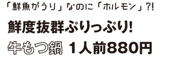 ブロケード５月号『なのに特集』