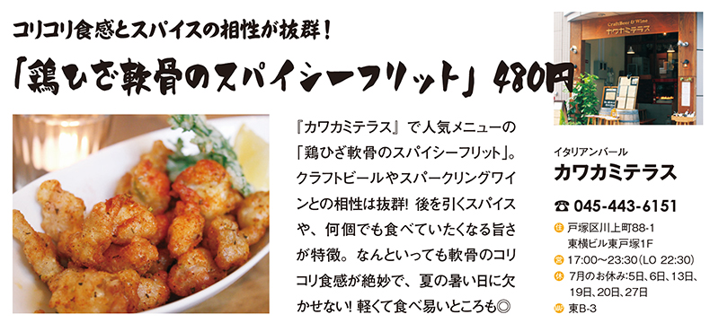 ブロケード7月号『あげもの特集』 ブロケード7月号『あげもの特集』